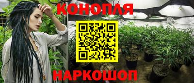 ешки Краснознаменск